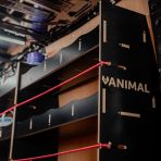 Close-up side panel view of the Vanimal branding and pre-notched for bungee cords