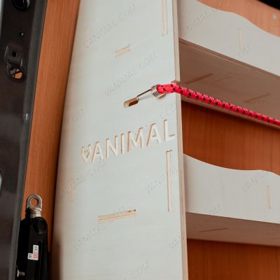 Close-up view of the Vanimal branding